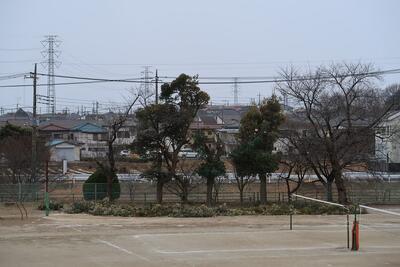 東川清掃・樹木剪定
