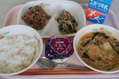 ビビンバ、ビビンバナムル、韓国風スープ、ご飯、ぶどうゼリー、牛乳